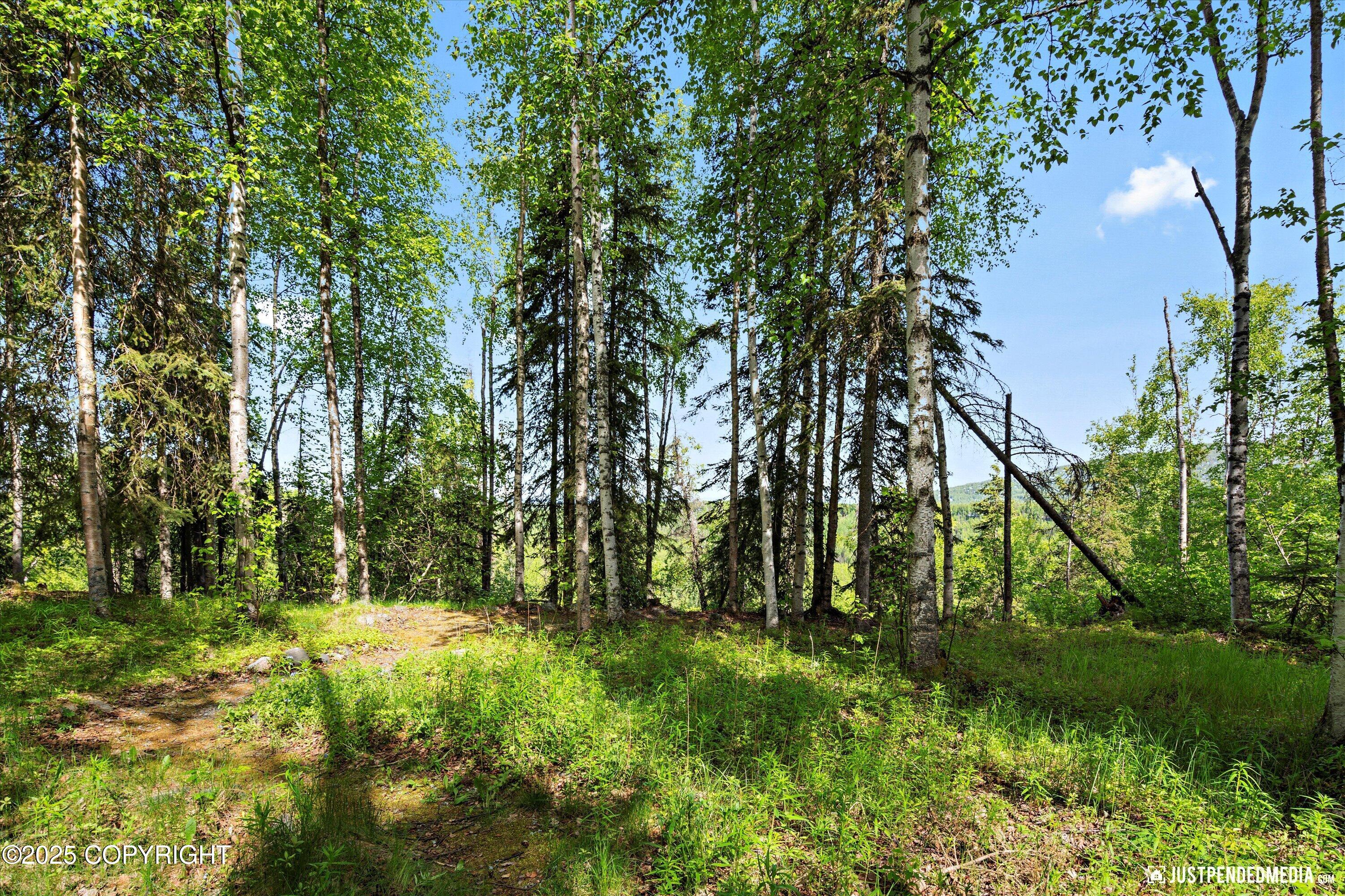 Eagle River, Alaska 99577, United States, 6 Bedrooms Bedrooms, ,4 BathroomsBathrooms,Residential,Active,141315