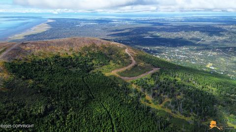 Vacant Land For Sale - 8460 Paine Road<br/> Anchorage, AK 99516