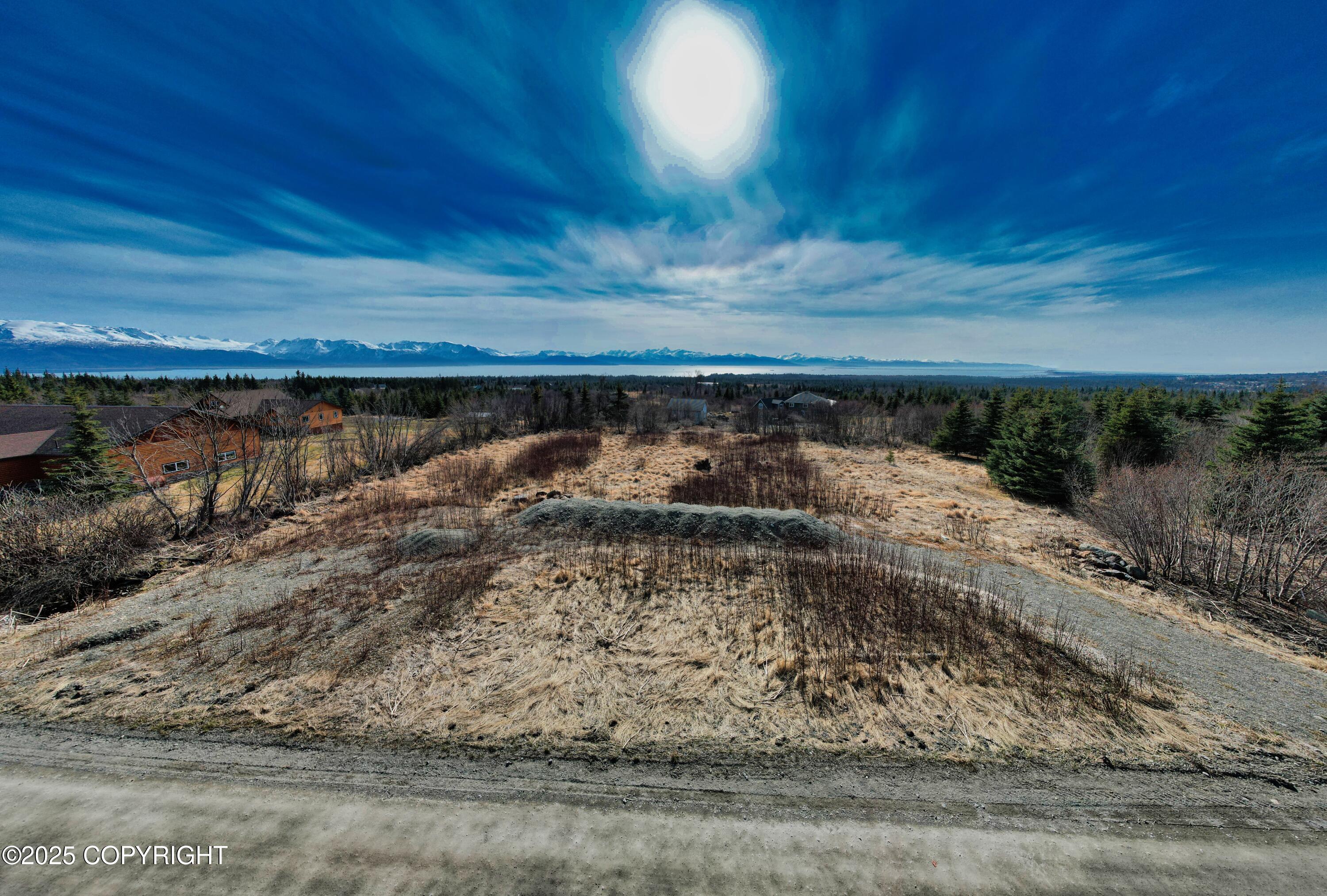 55049 Bonnie Avenue, Homer, Alaska image 3