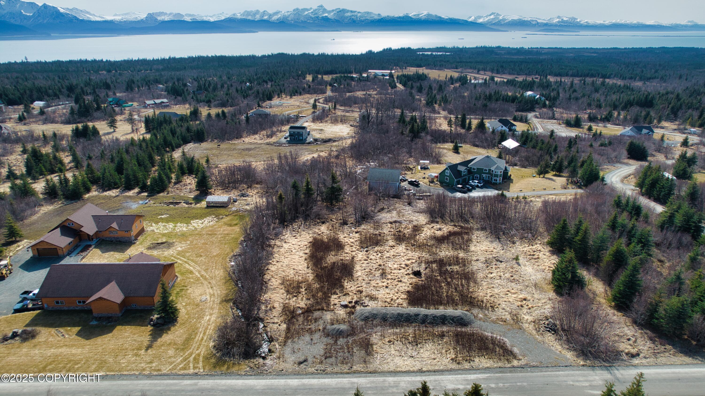 55049 Bonnie Avenue, Homer, Alaska image 5