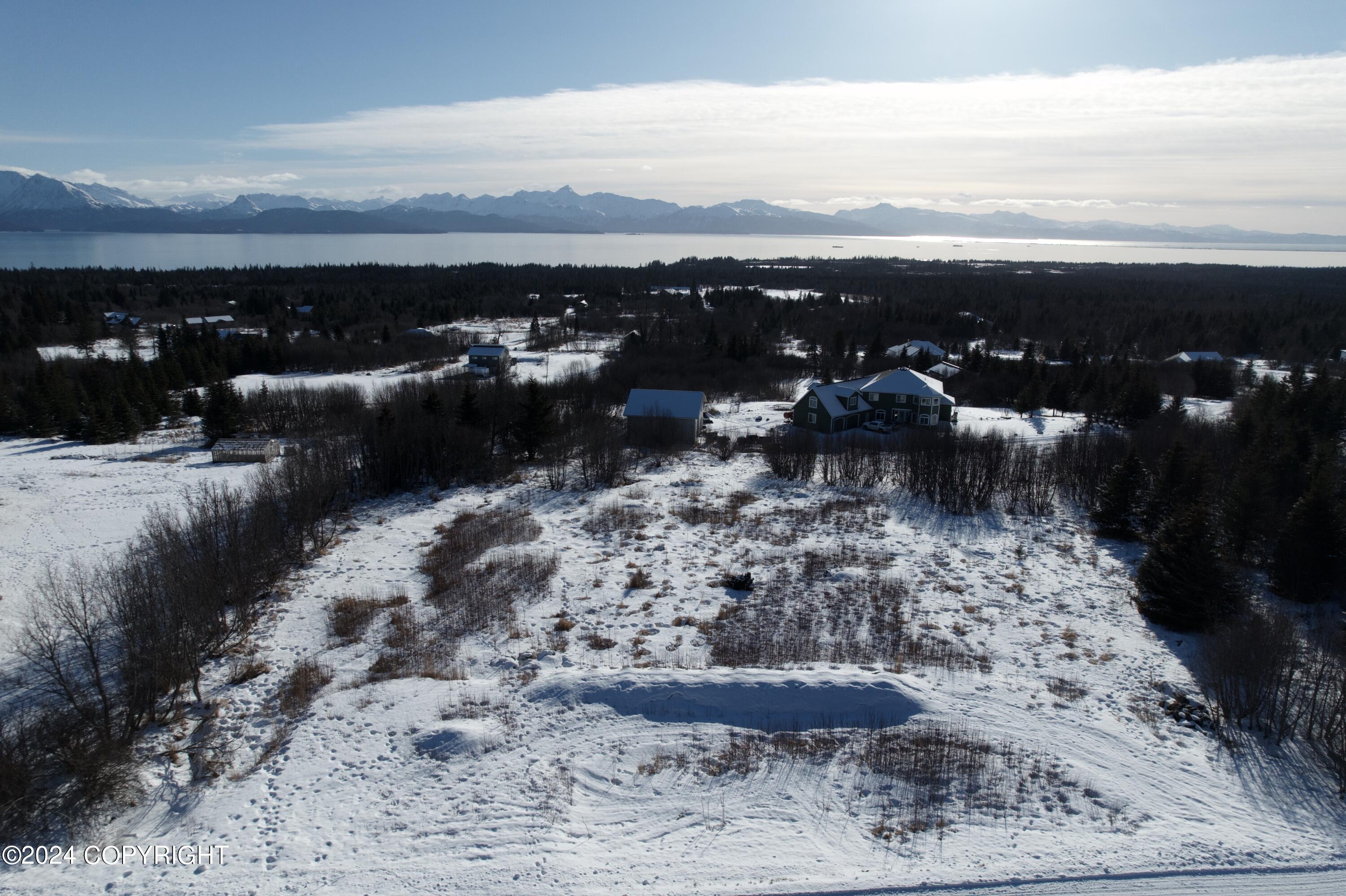 55049 Bonnie Avenue, Homer, Alaska image 15