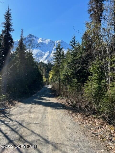 Cooper Landing, Alaska 99572, United States, 6 Bedrooms Bedrooms, ,2 BathroomsBathrooms,Residential,Pending,74086