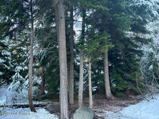 Cooper Landing, Alaska 99572, United States, 6 Bedrooms Bedrooms, ,2 BathroomsBathrooms,Residential,Pending,74086