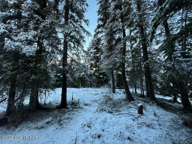 Cooper Landing, Alaska 99572, United States, 6 Bedrooms Bedrooms, ,2 BathroomsBathrooms,Residential,Pending,74086