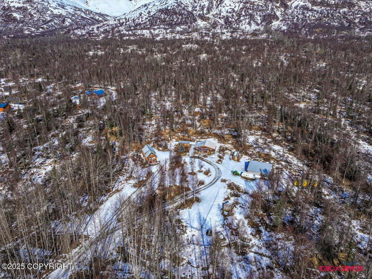 9911 Runyon Circle, Palmer, Alaska image 12