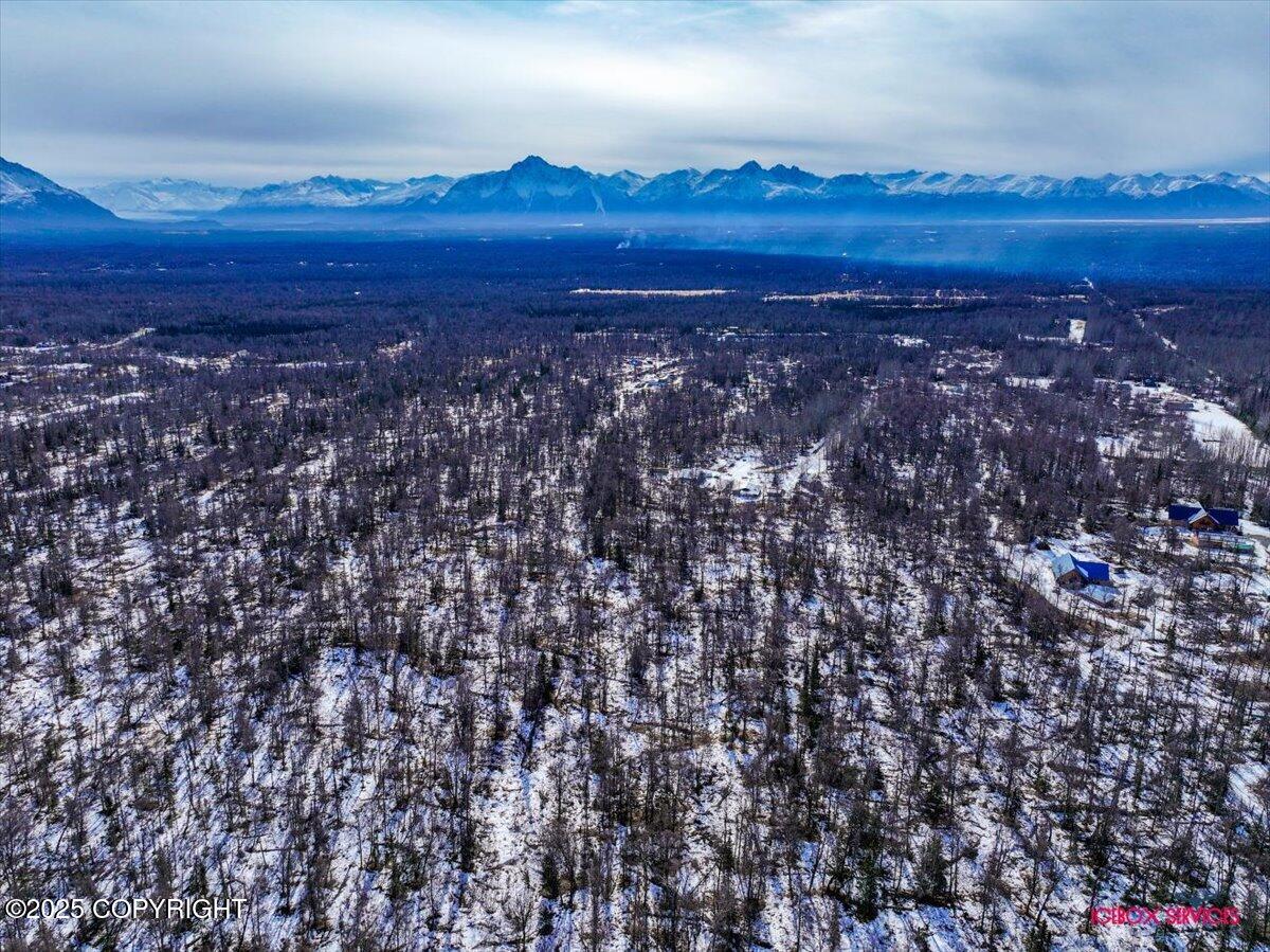 9911 Runyon Circle, Palmer, Alaska image 15