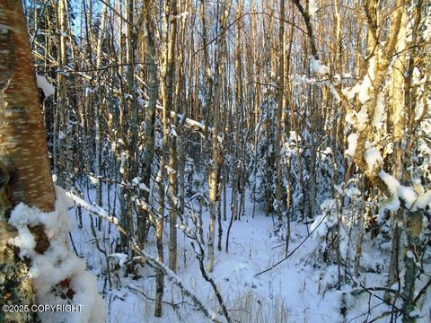 Vacant Land For Sale - L2 W Shearwater Street<br/> Wasilla, AK 99623