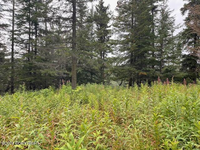 Mi 158 Sterling Highway, Anchor Point, Alaska image 5