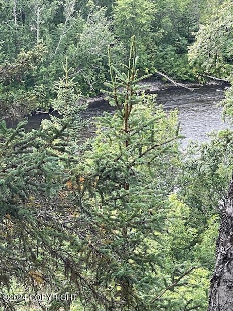 Mi 158 Sterling Highway, Anchor Point, Alaska image 7