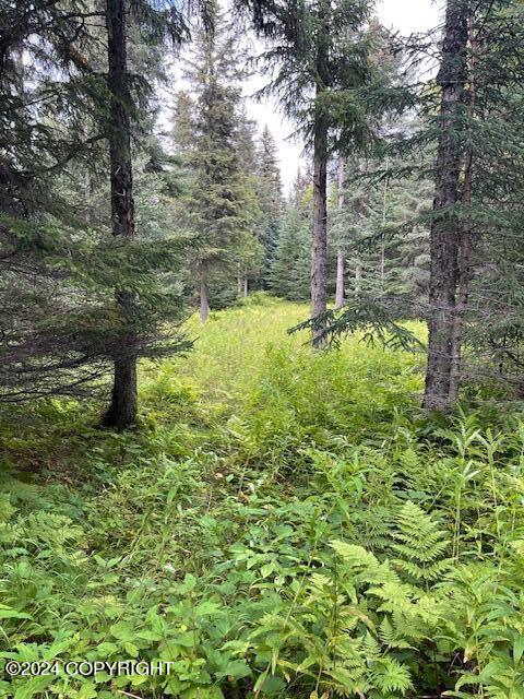 Mi 158 Sterling Highway, Anchor Point, Alaska image 10