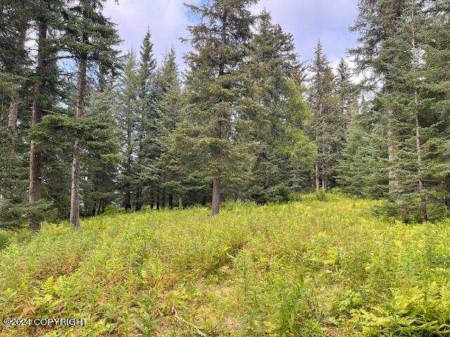 Mi 158 Sterling Highway, Anchor Point, Alaska image 12