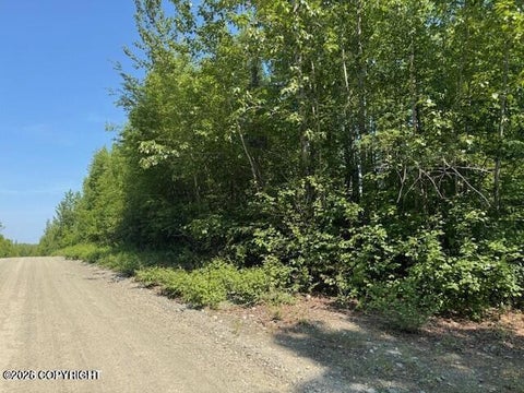 Vacant Land For Sale - 39578 S Malaspina Loop<br/> Talkeetna, AK 99676