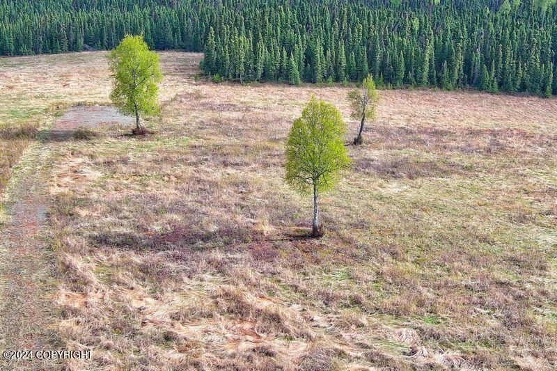Tr 29 S Creary Circle, Soldotna, Alaska image 11