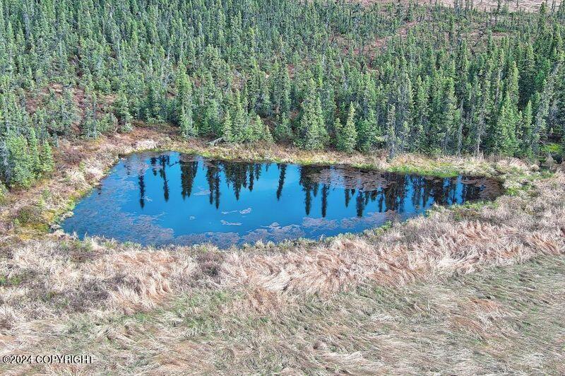 Tr 29 S Creary Circle, Soldotna, Alaska image 19