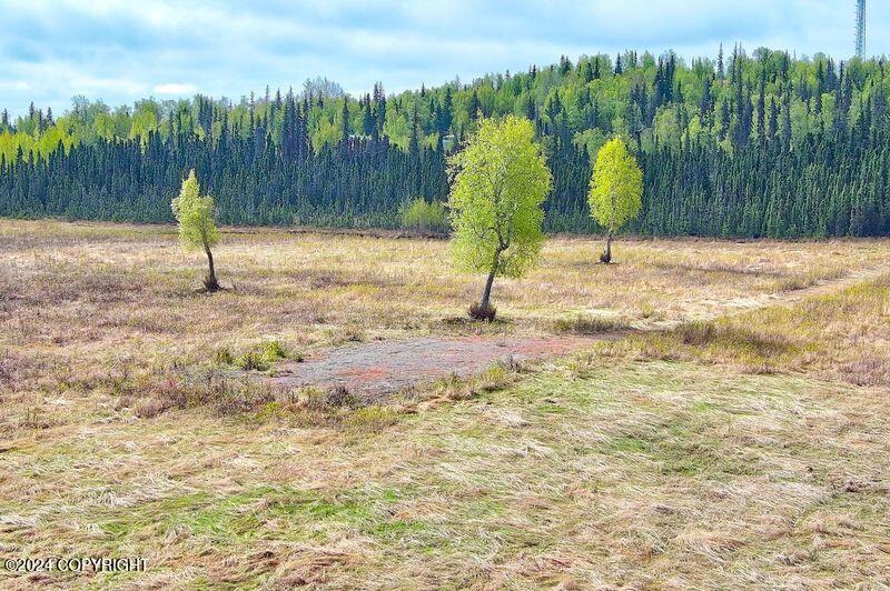 Tr 29 S Creary Circle, Soldotna, Alaska image 3