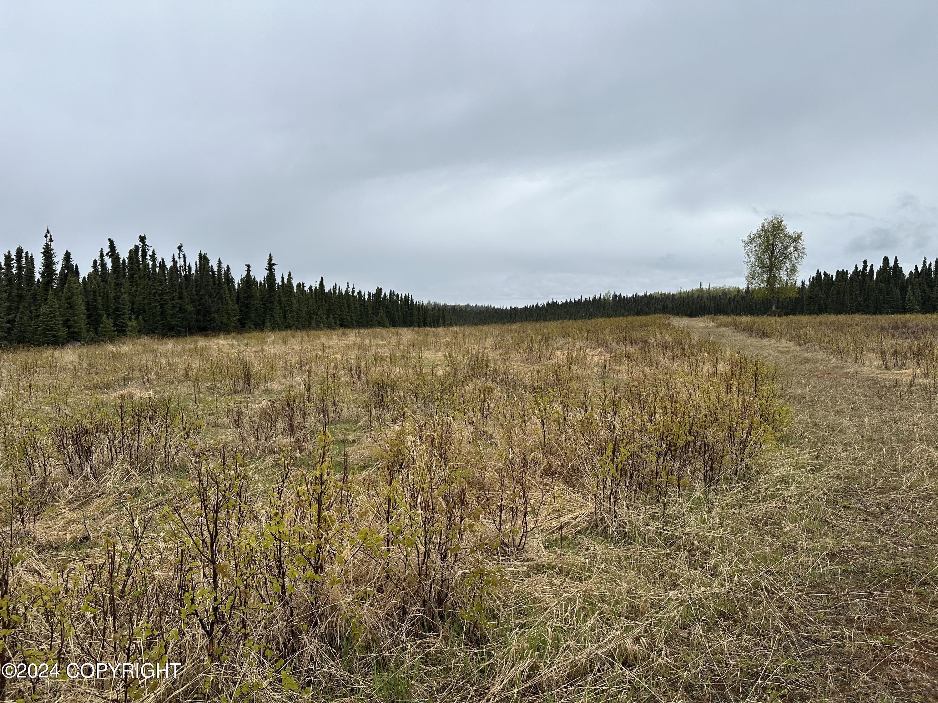 Tr 29 S Creary Circle, Soldotna, Alaska image 15