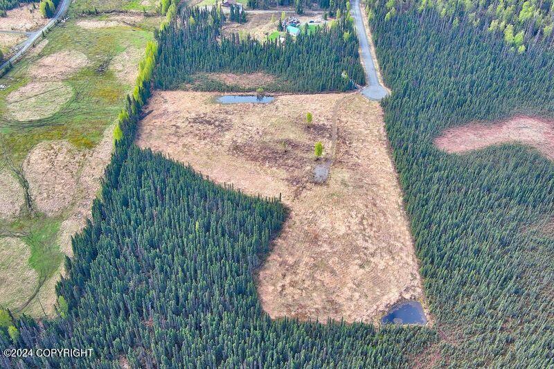 Tr 29 S Creary Circle, Soldotna, Alaska image 9