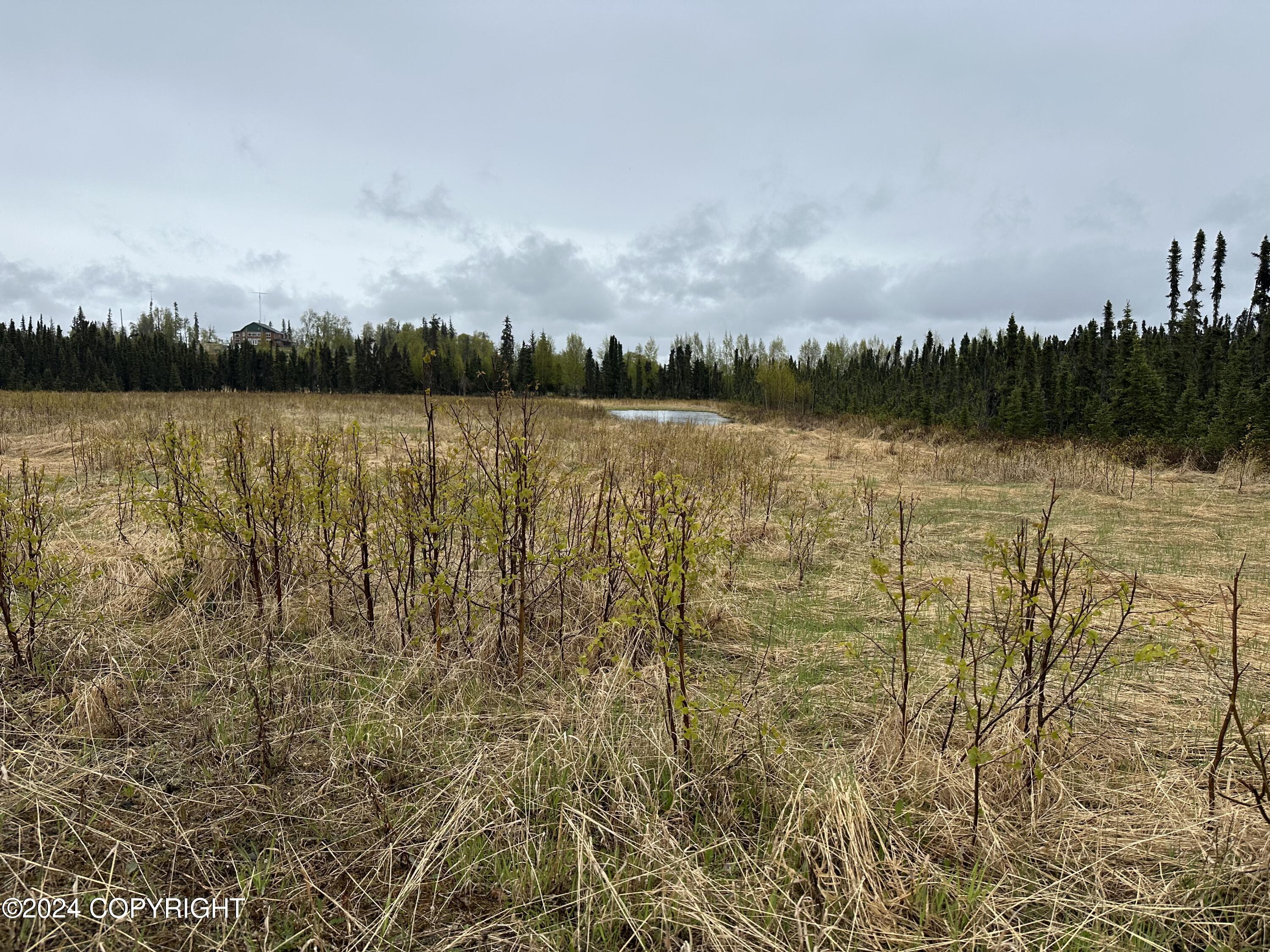Tr 29 S Creary Circle, Soldotna, Alaska image 16