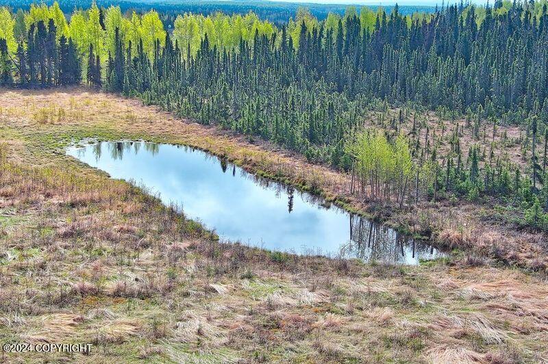 Tr 29 S Creary Circle, Soldotna, Alaska image 18