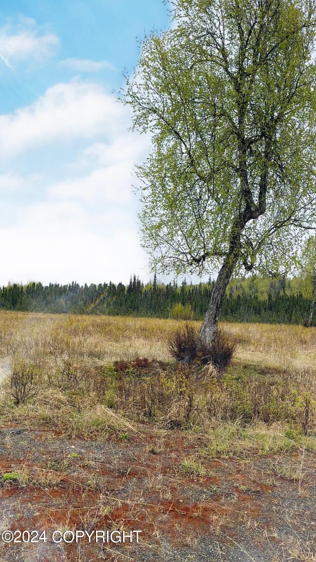 Tr 29 S Creary Circle, Soldotna, Alaska image 17