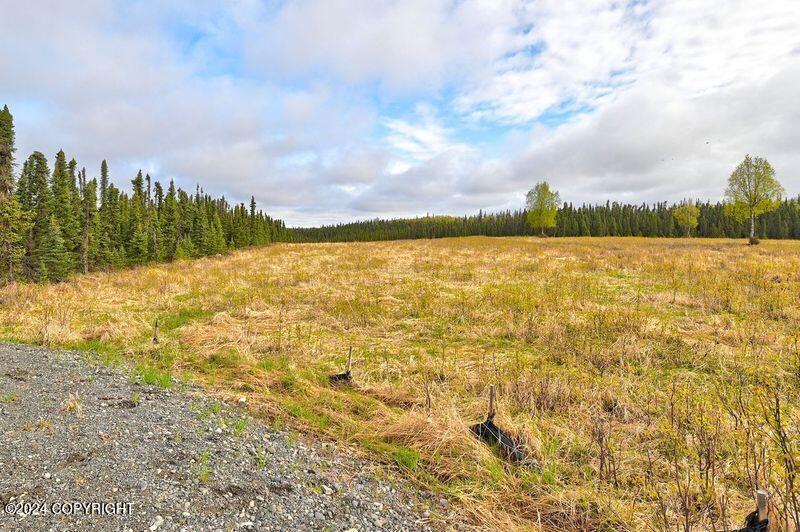 Tr 29 S Creary Circle, Soldotna, Alaska image 4
