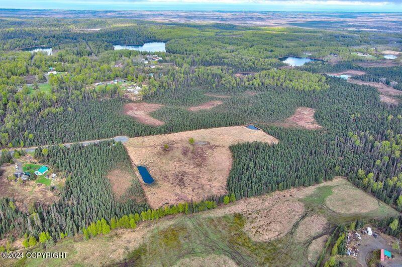 Tr 29 S Creary Circle, Soldotna, Alaska image 7