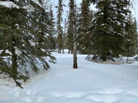 Vacant Land For Sale - 1009 Colonial Drive<br/> Kenai, AK 99611