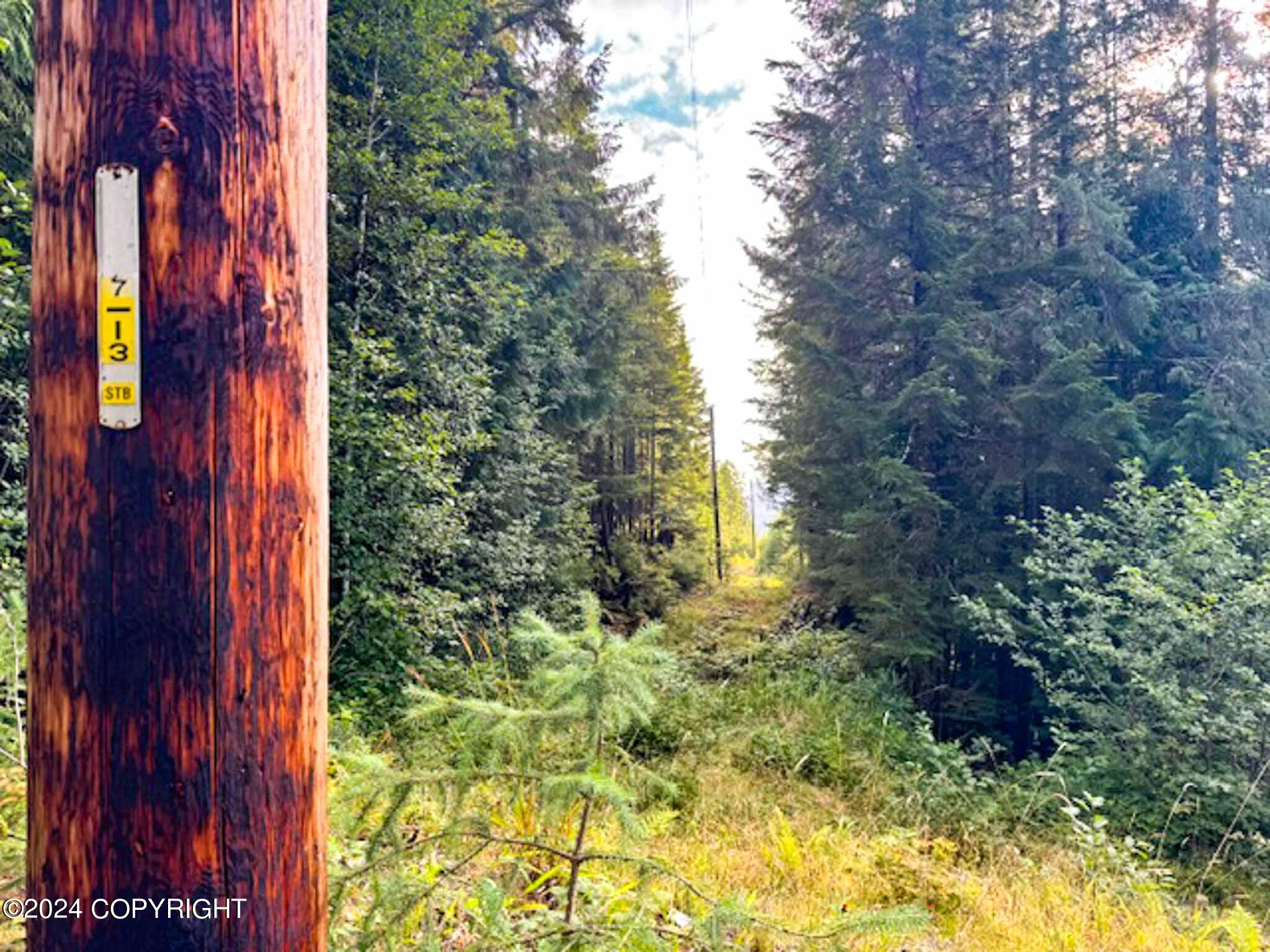 L14B1 North Road, Thorne Bay, Alaska image 3