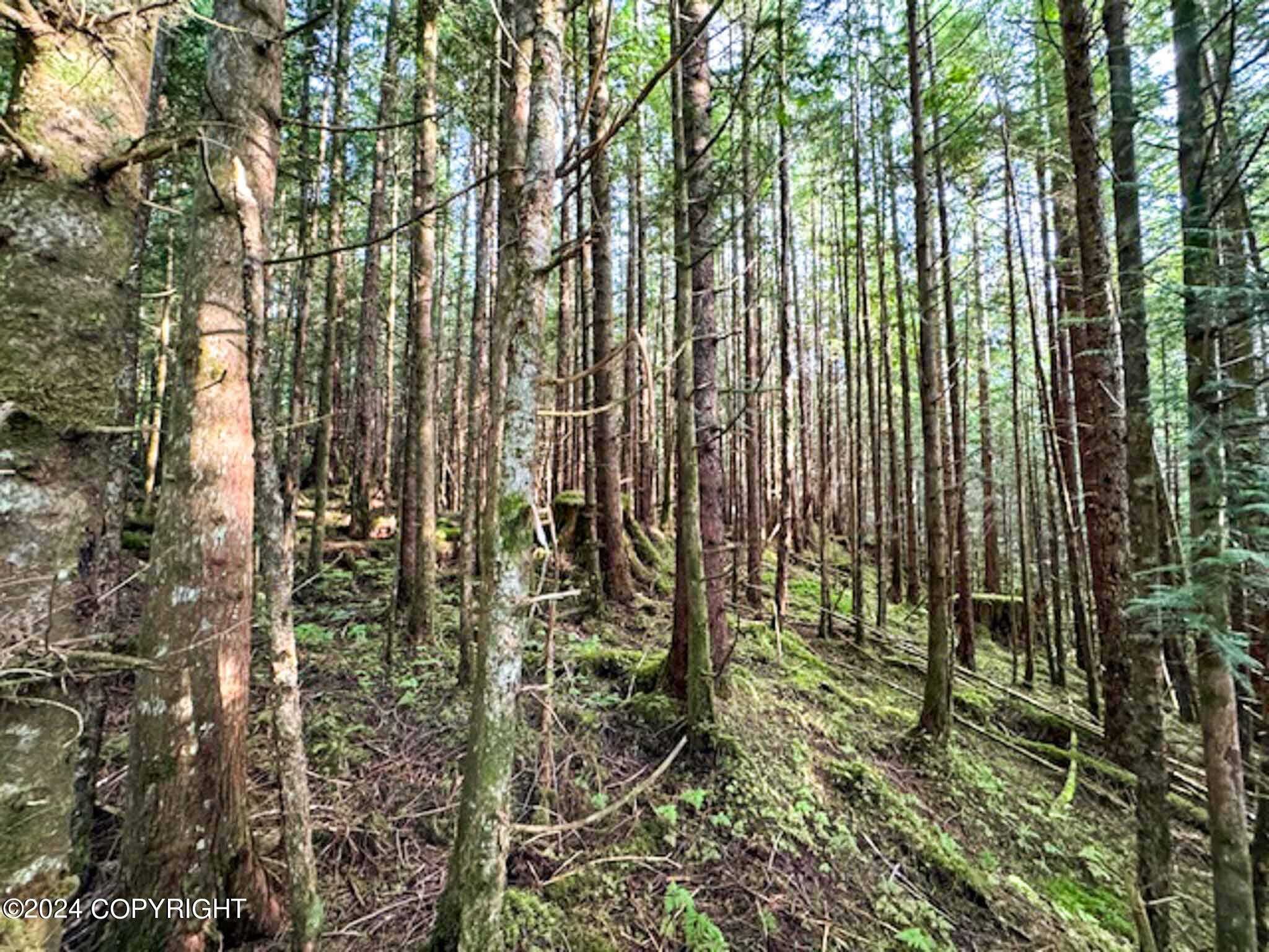 L14B1 North Road, Thorne Bay, Alaska image 7