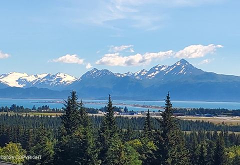 Vacant Land For Sale - 4615 Craftsman Road<br/> Homer, AK 99603