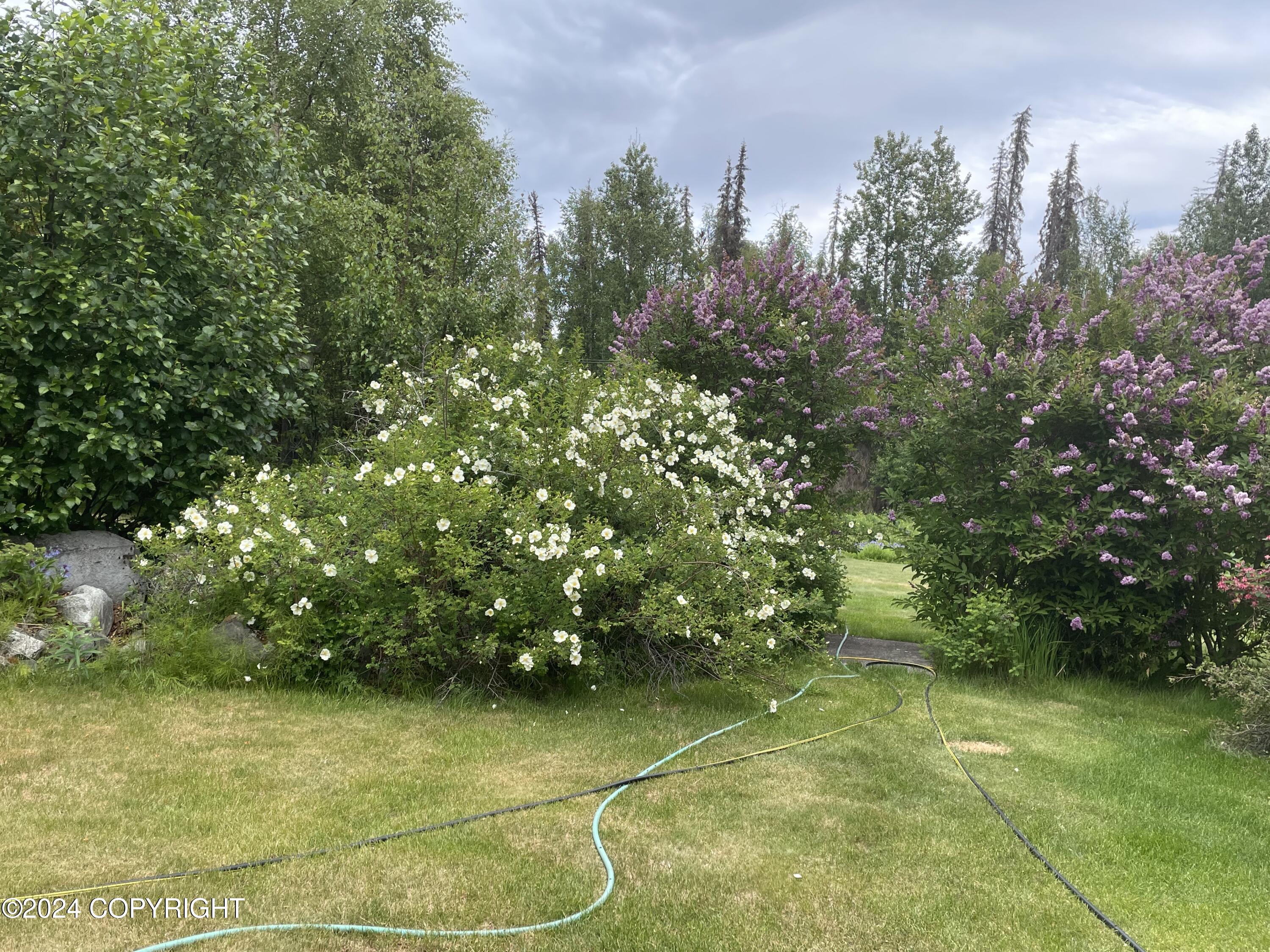 38380 Robinson Loop Road, Sterling, Alaska image 10