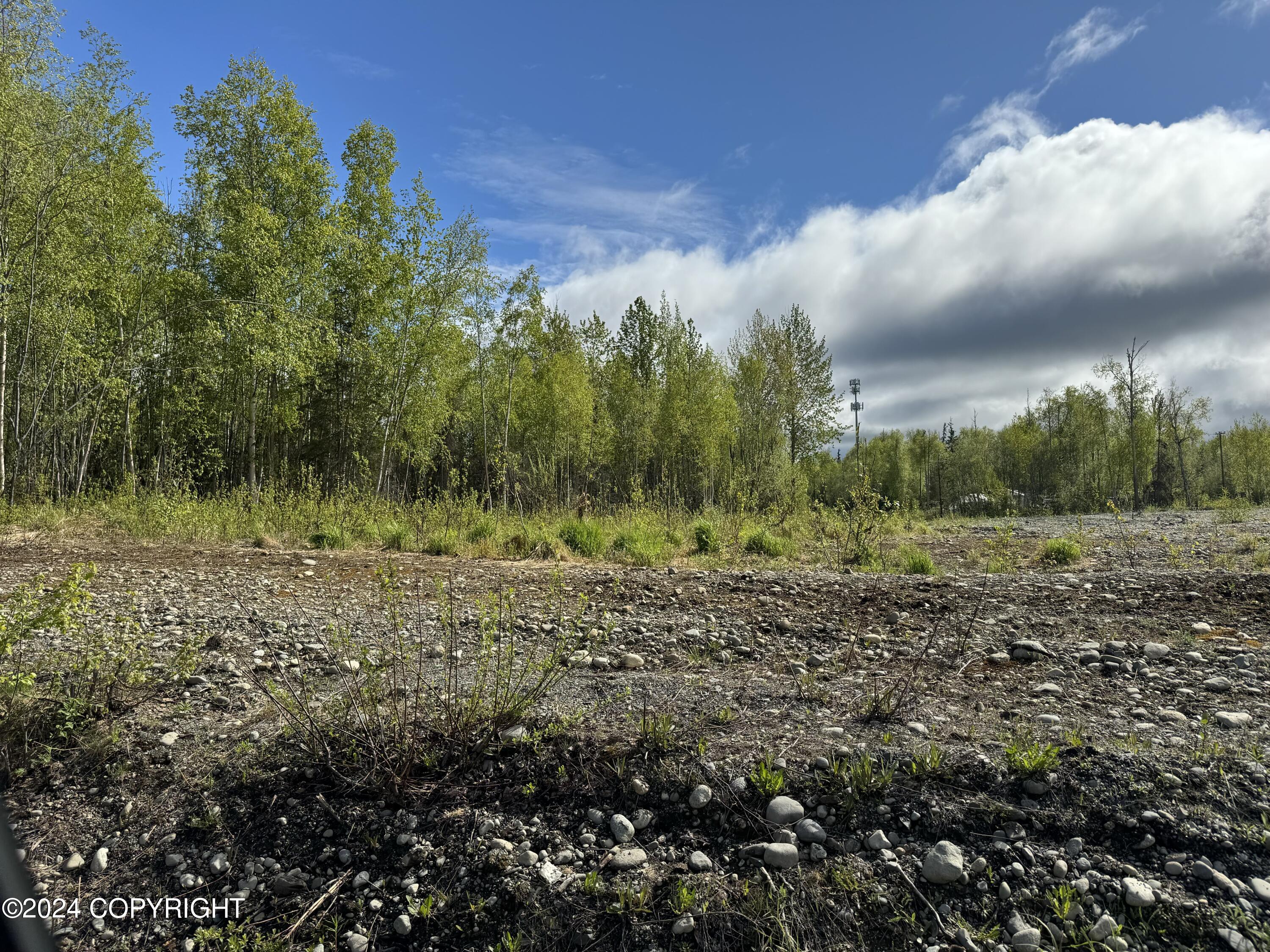 4712 S Kenaka Bena Loop, Big Lake, Alaska image 3