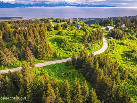 Vacant Land For Sale - 228 Tulin Terrace Boulevard<br/> Homer, AK 99603
