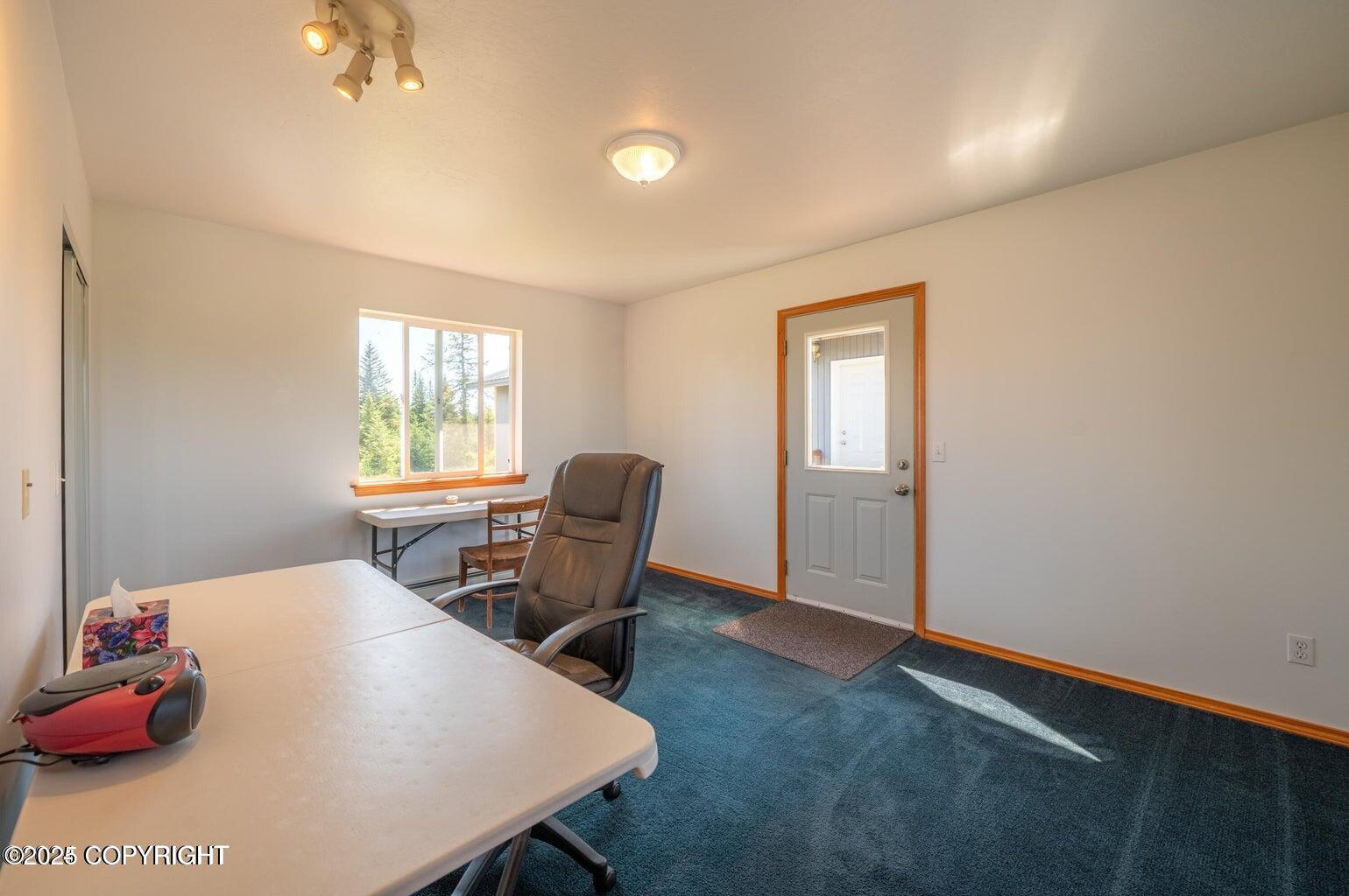 30156 Stikine Street, Anchor Point, Alaska image 37