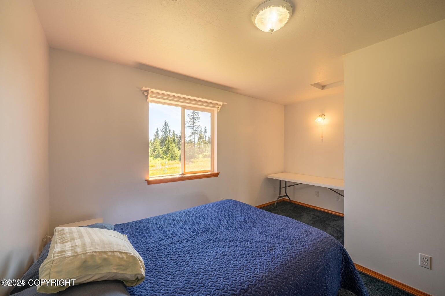 30156 Stikine Street, Anchor Point, Alaska image 40