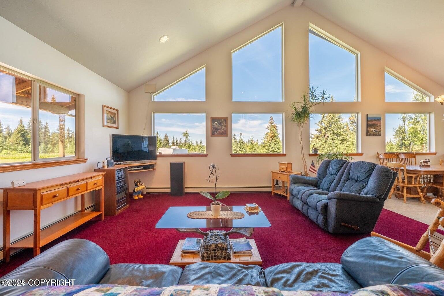 30156 Stikine Street, Anchor Point, Alaska image 10