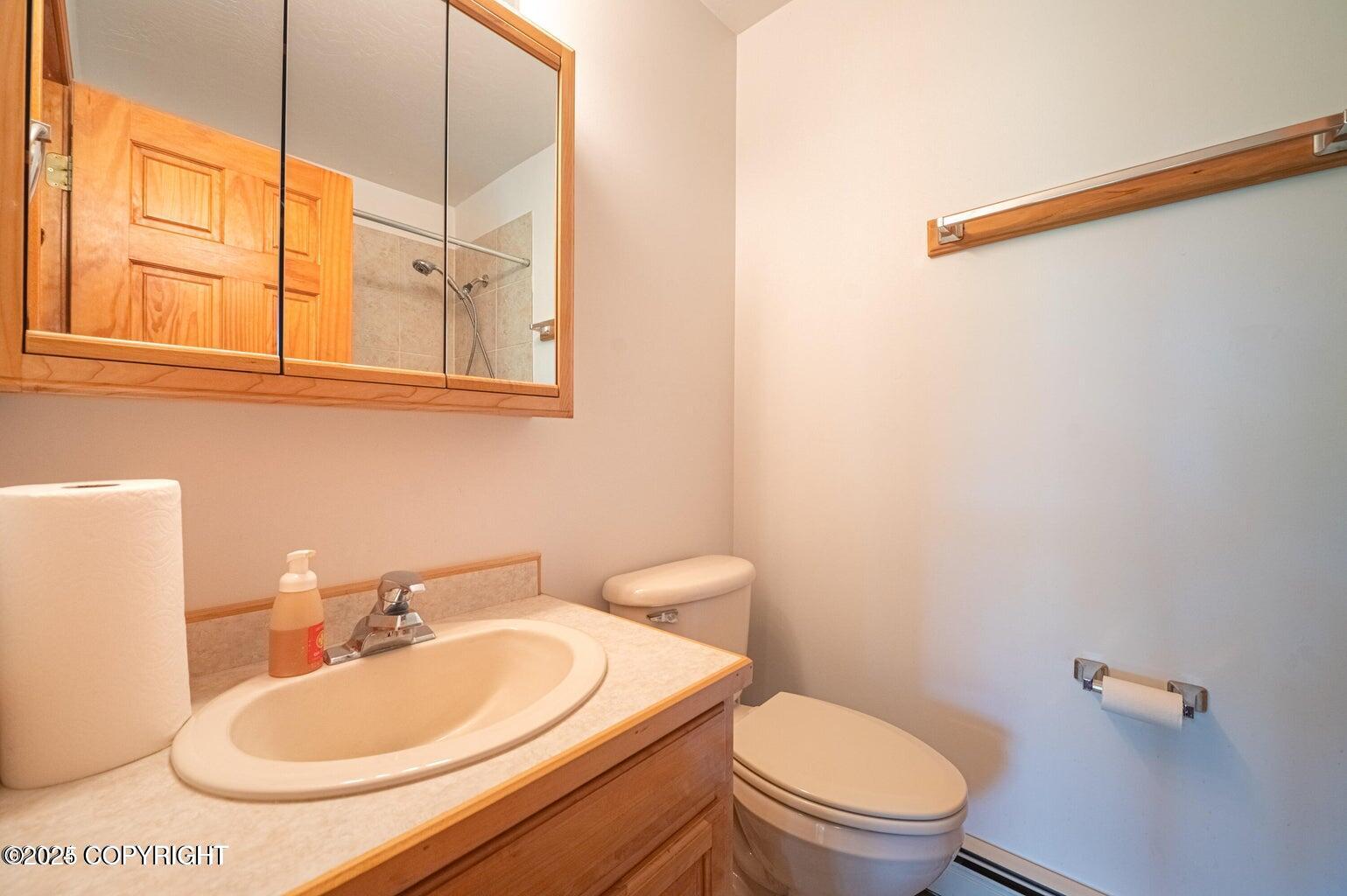 30156 Stikine Street, Anchor Point, Alaska image 41