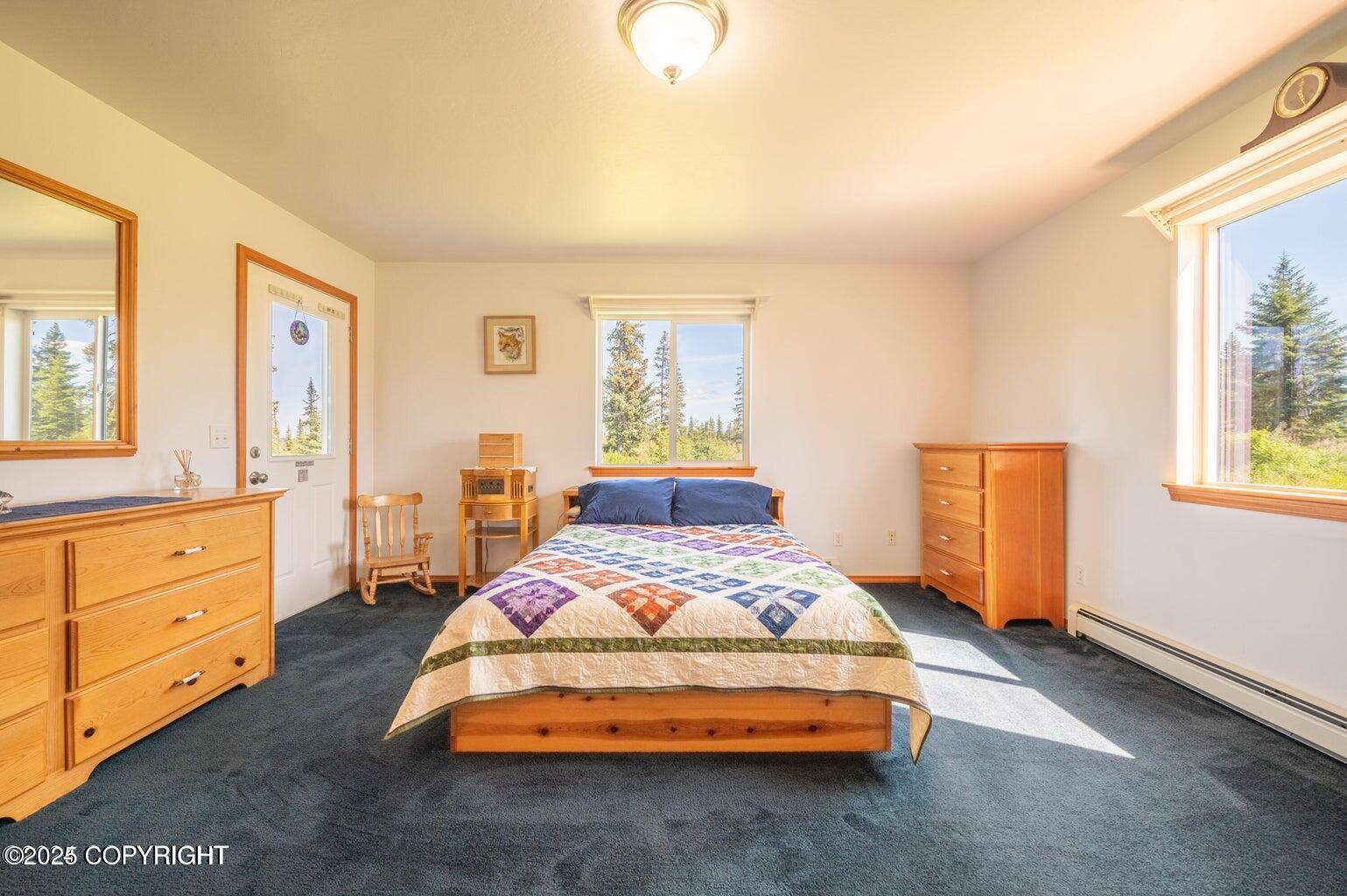 30156 Stikine Street, Anchor Point, Alaska image 26