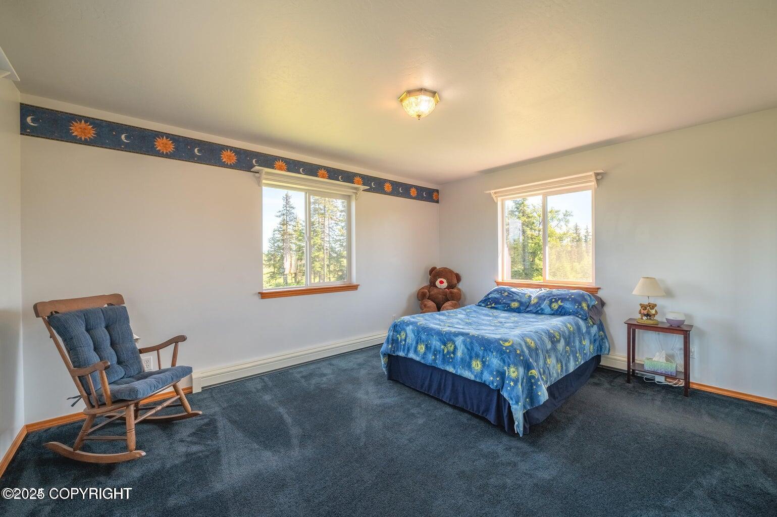 30156 Stikine Street, Anchor Point, Alaska image 43