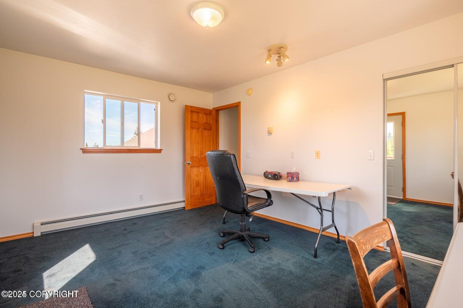 30156 Stikine Street, Anchor Point, Alaska image 39