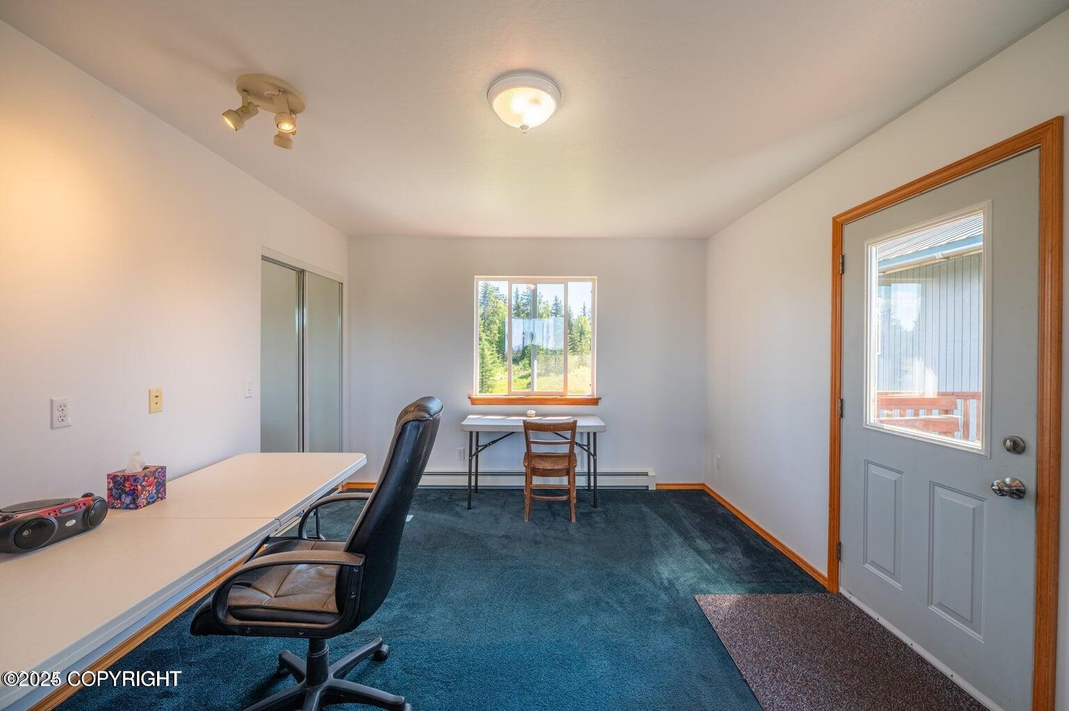 30156 Stikine Street, Anchor Point, Alaska image 38