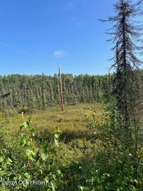 Vacant Land For Sale - 7833 S Irish Lane<br/> Big Lake, AK 99652