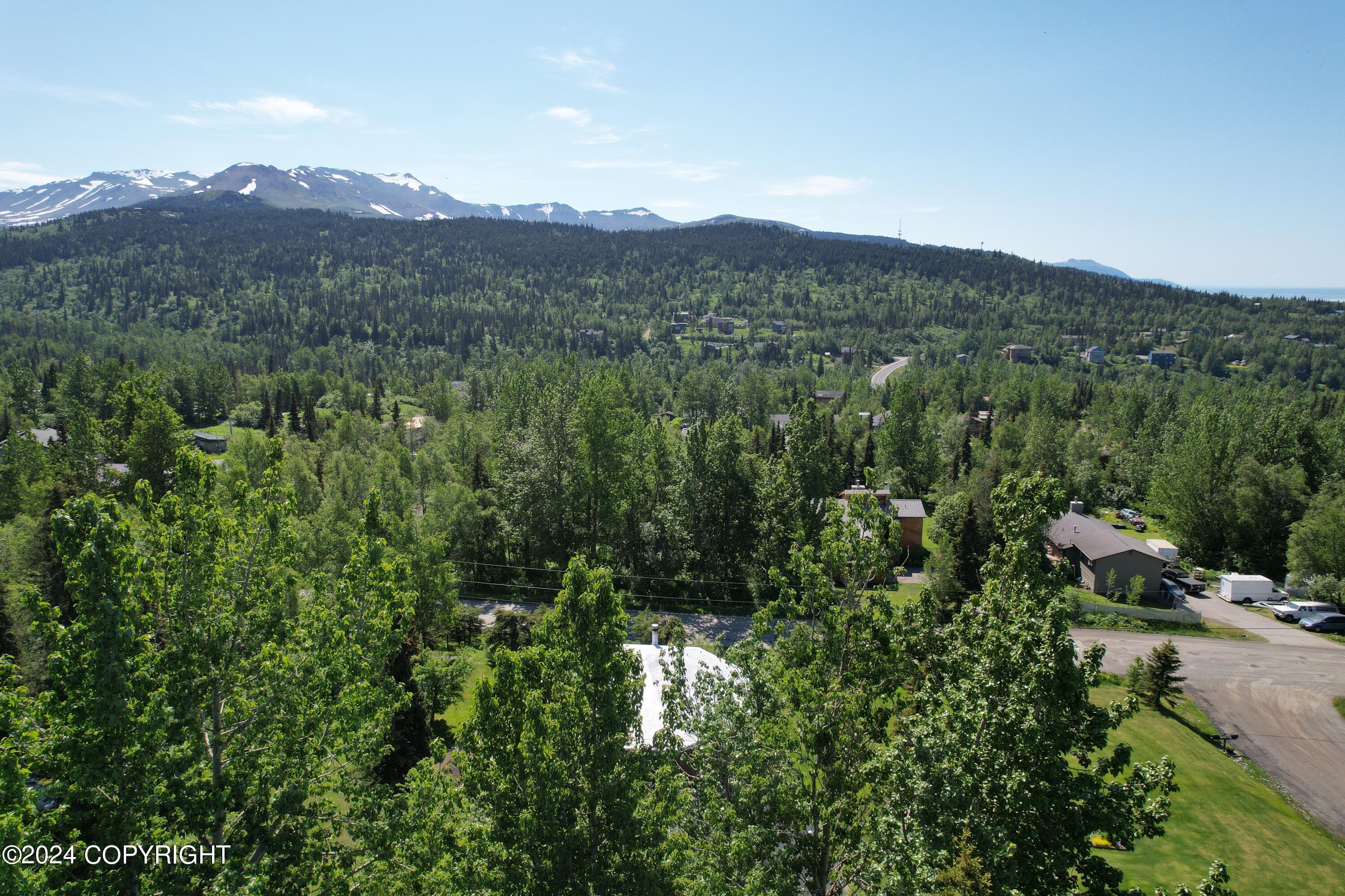 L3 Patrick Road, Anchorage, Alaska image 17