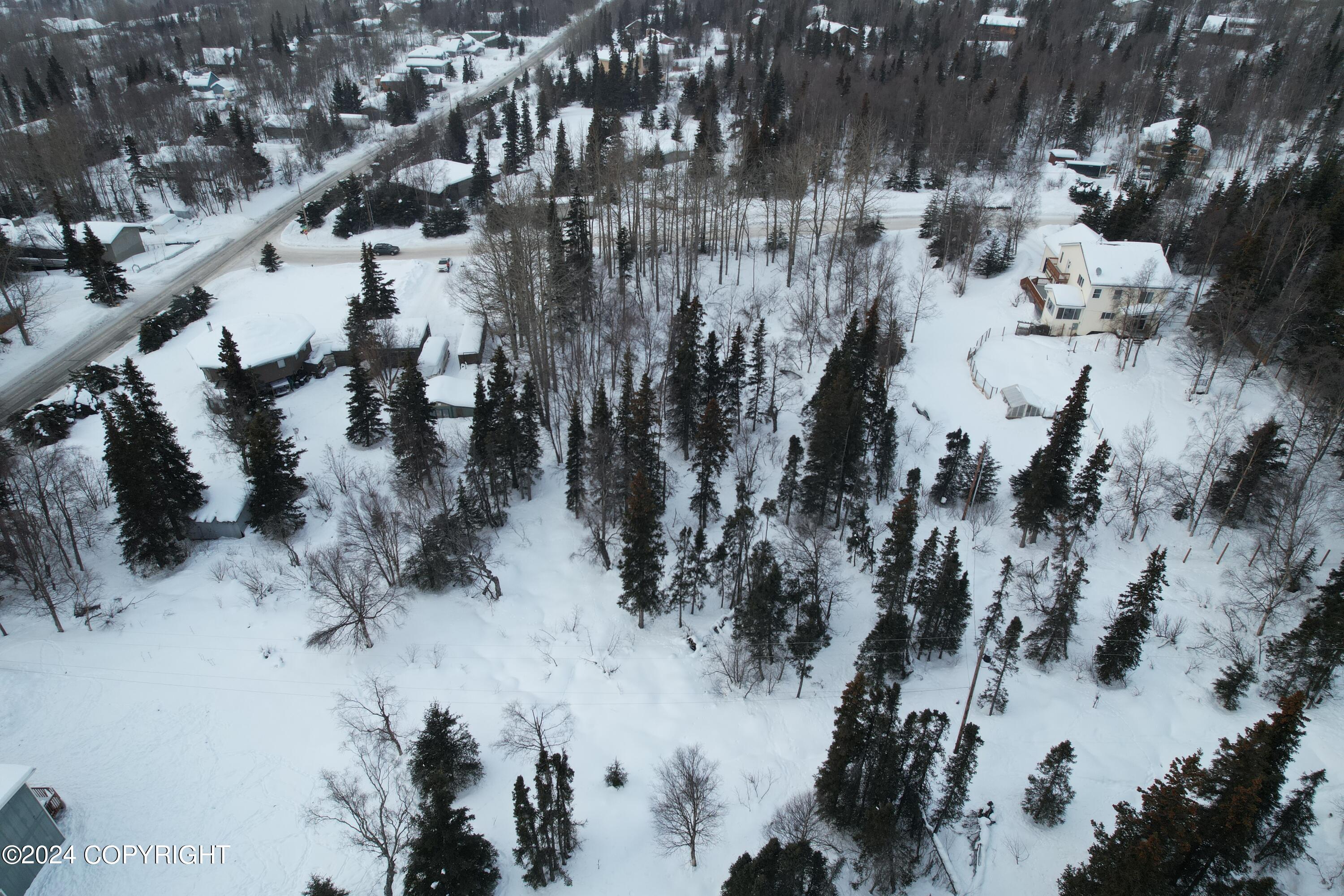 L3 Patrick Road, Anchorage, Alaska image 11