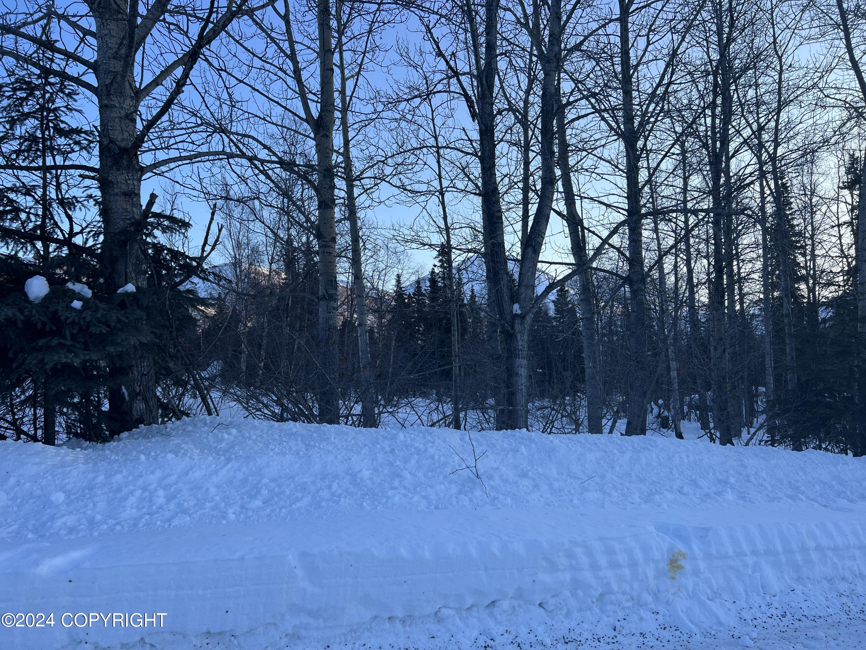 L3 Patrick Road, Anchorage, Alaska image 20
