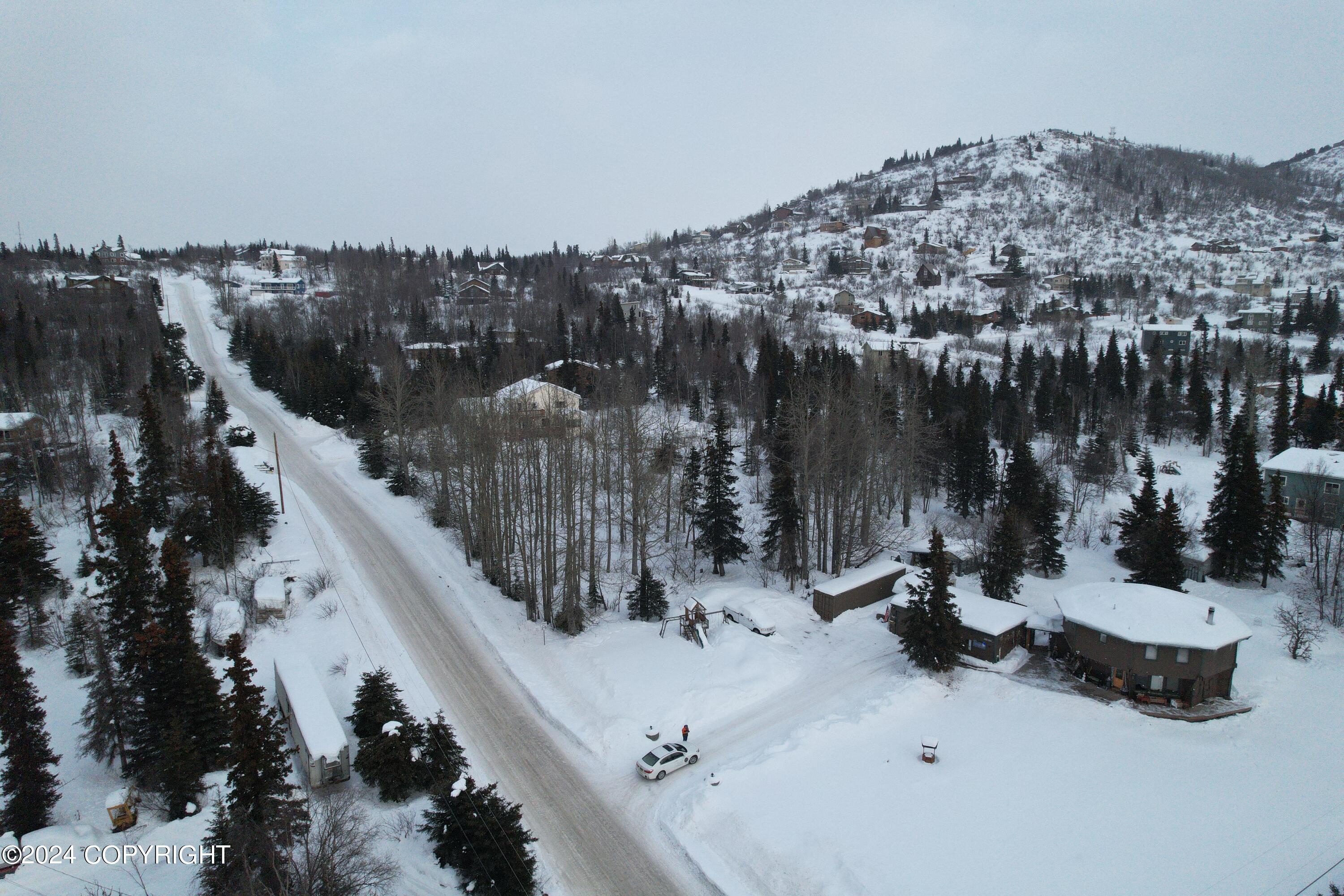 L3 Patrick Road, Anchorage, Alaska image 6