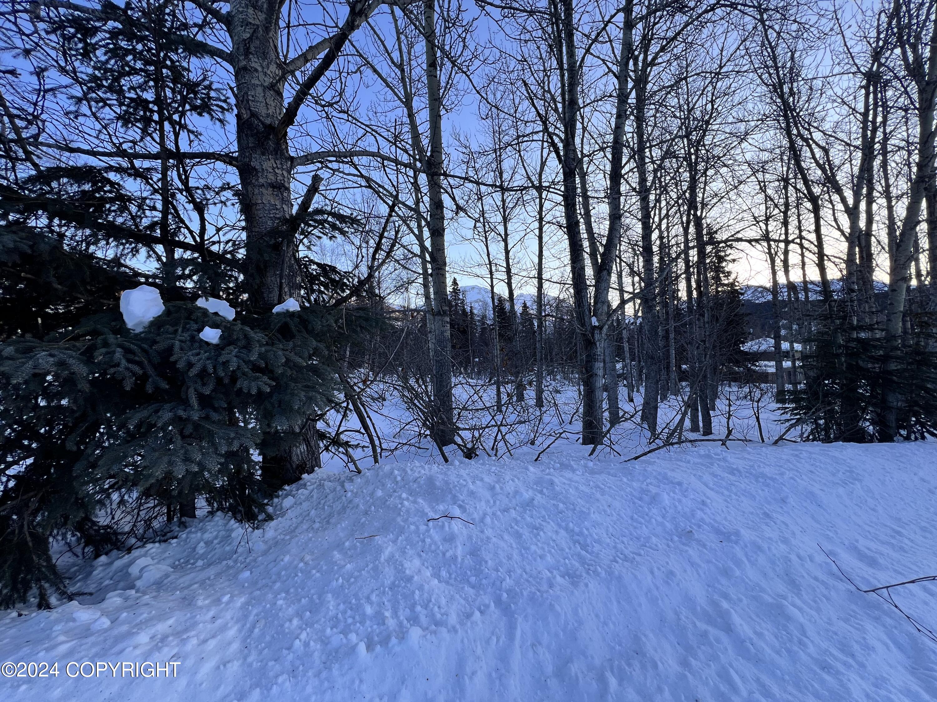 L3 Patrick Road, Anchorage, Alaska image 21