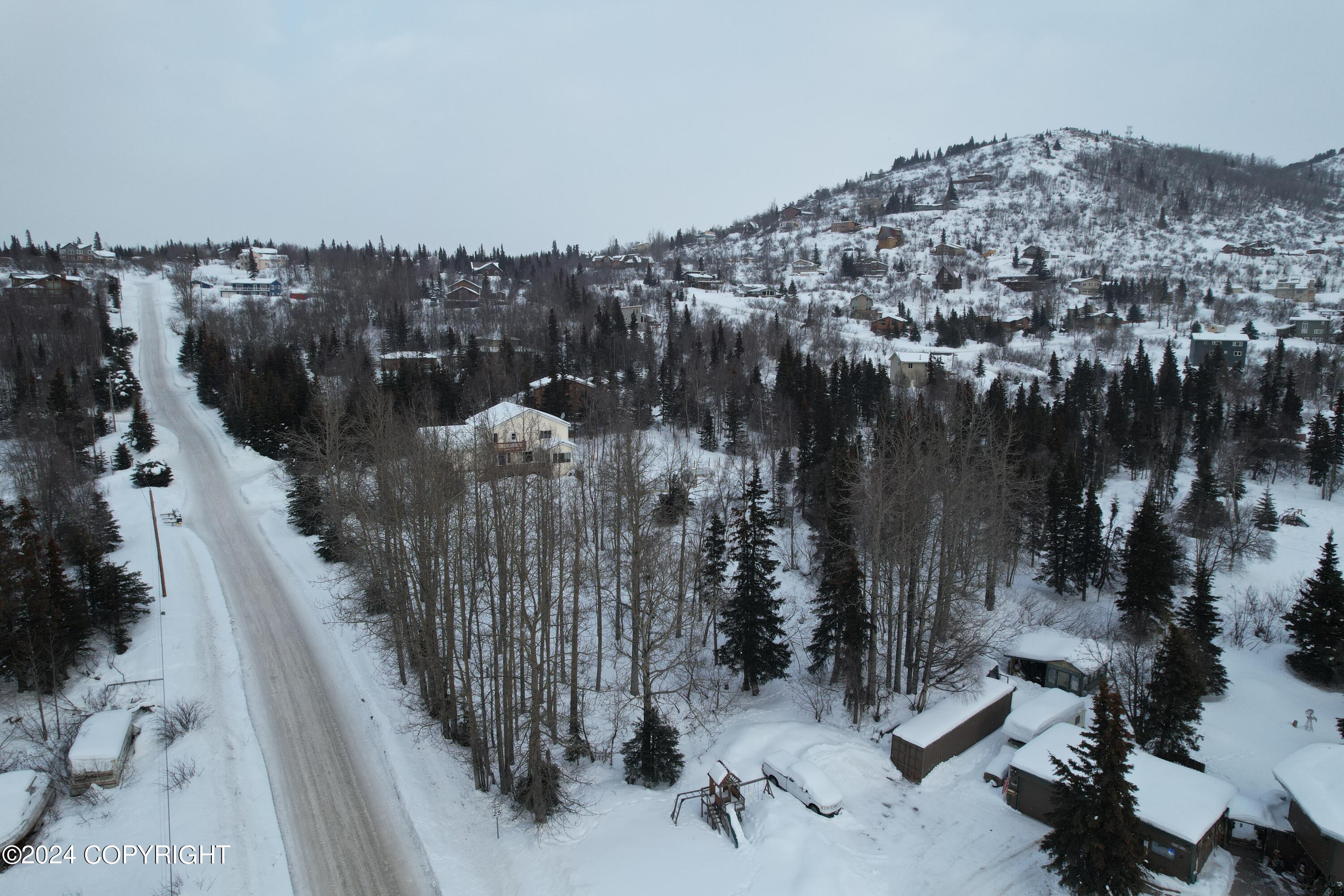 L3 Patrick Road, Anchorage, Alaska image 7
