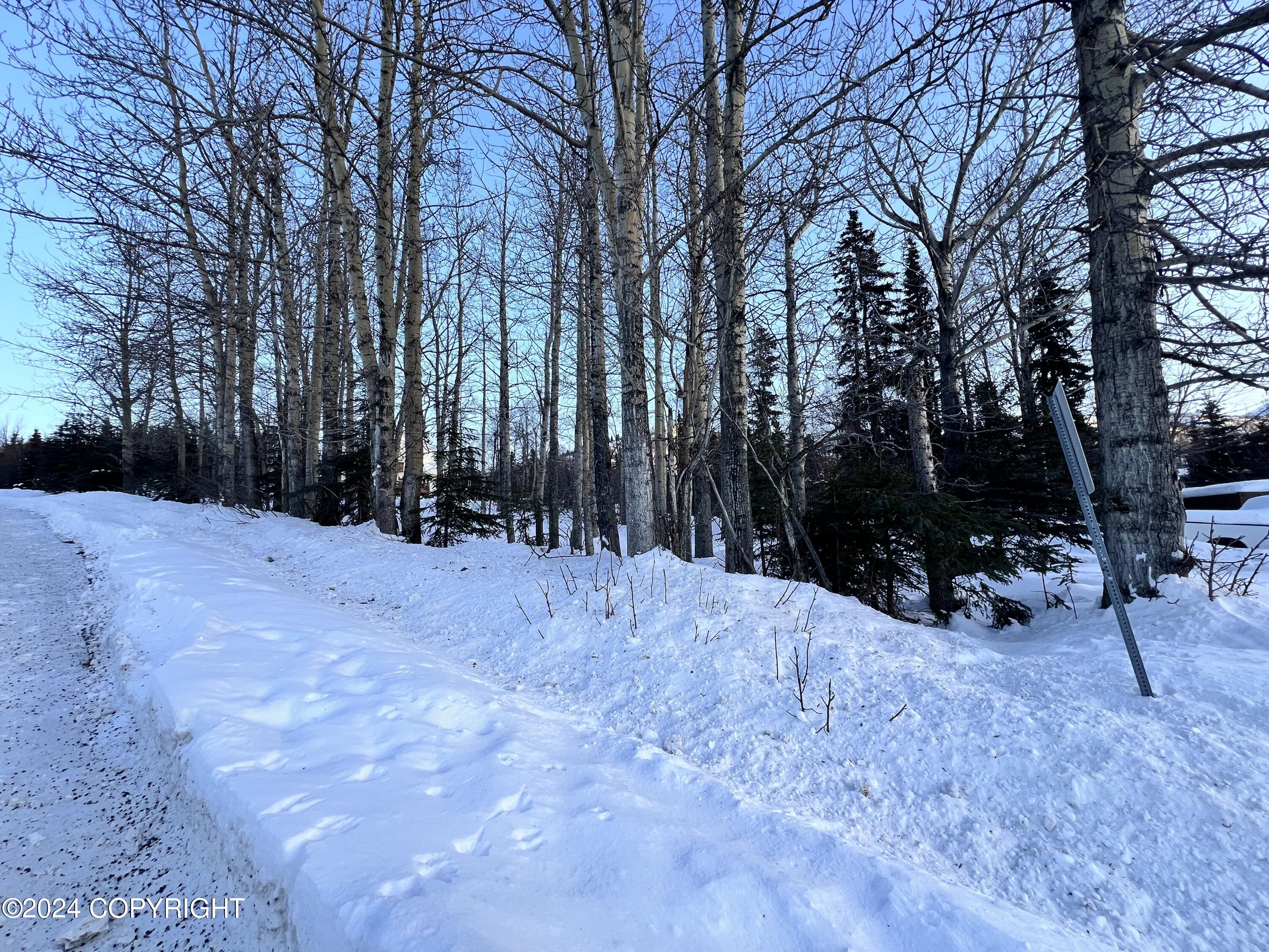L3 Patrick Road, Anchorage, Alaska image 22