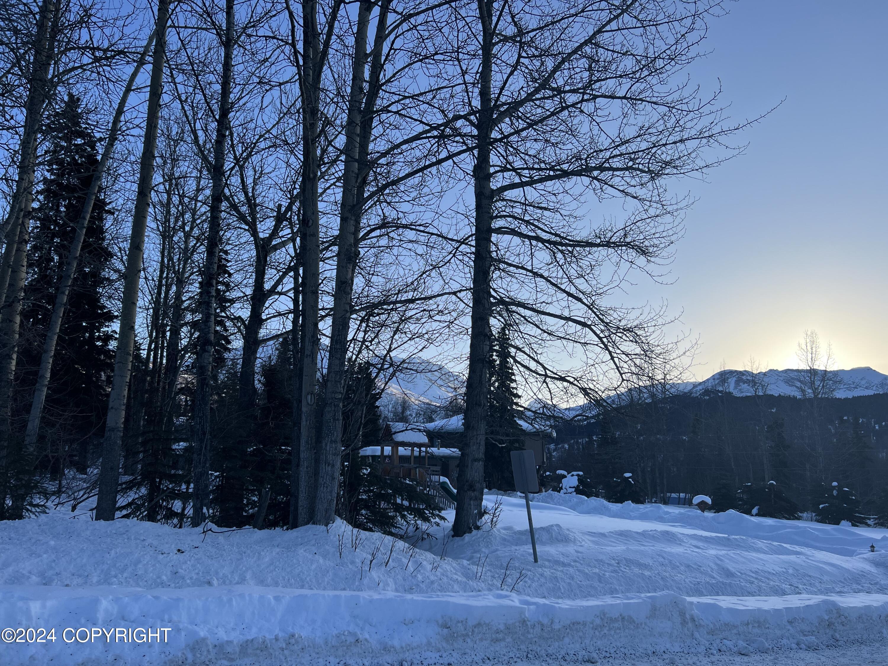 L3 Patrick Road, Anchorage, Alaska image 30